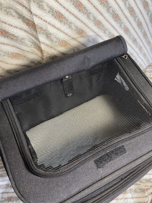 Продаю двоповерховий рюкзак-переноска для домашнього бренду Felis Eck