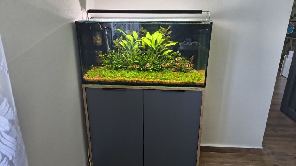 Акваріум комплектом 80*40*40