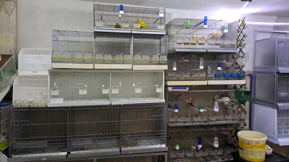 Vendo várias Gaiolas