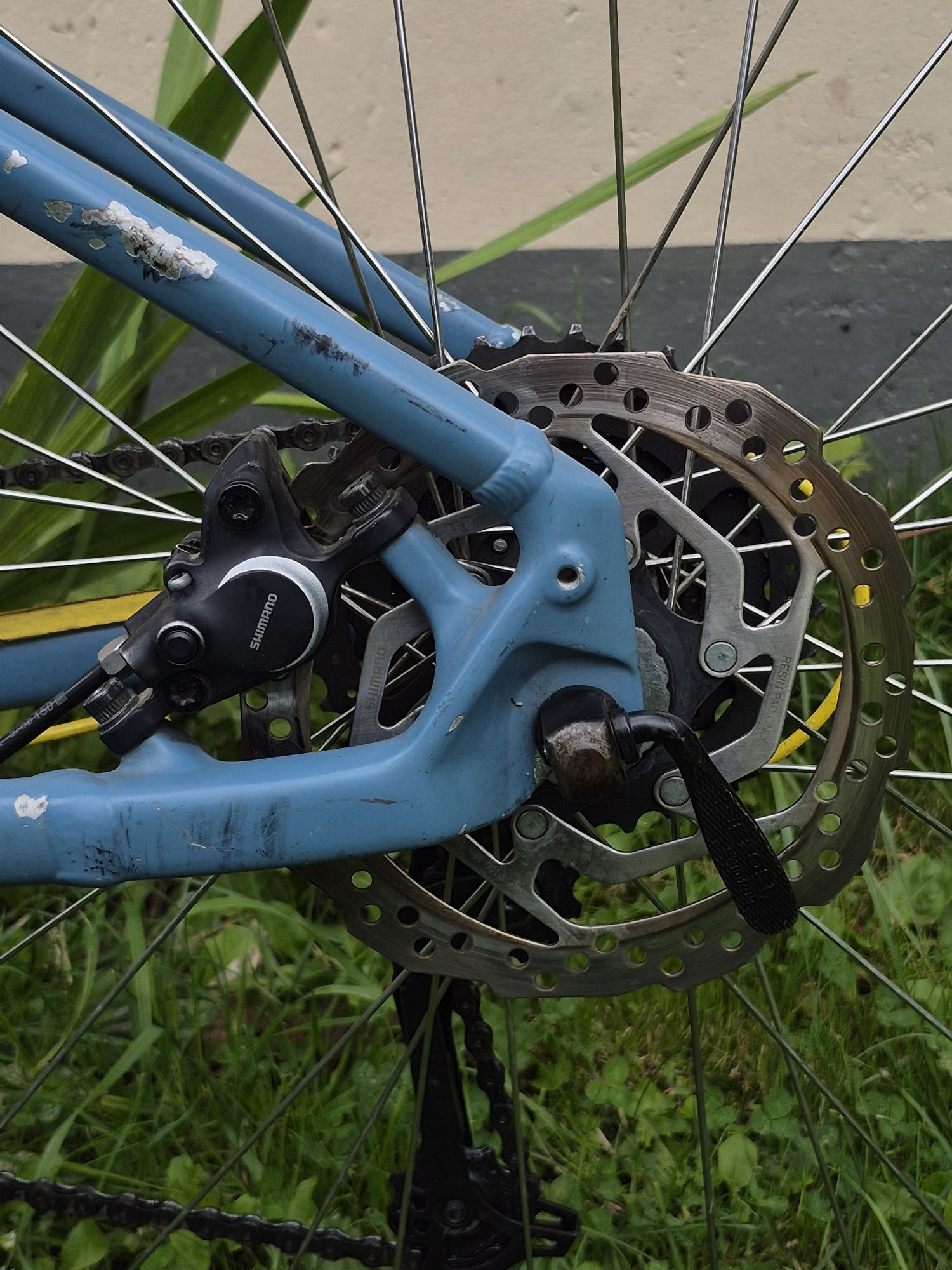 Specialized pitch comp 2x 2019