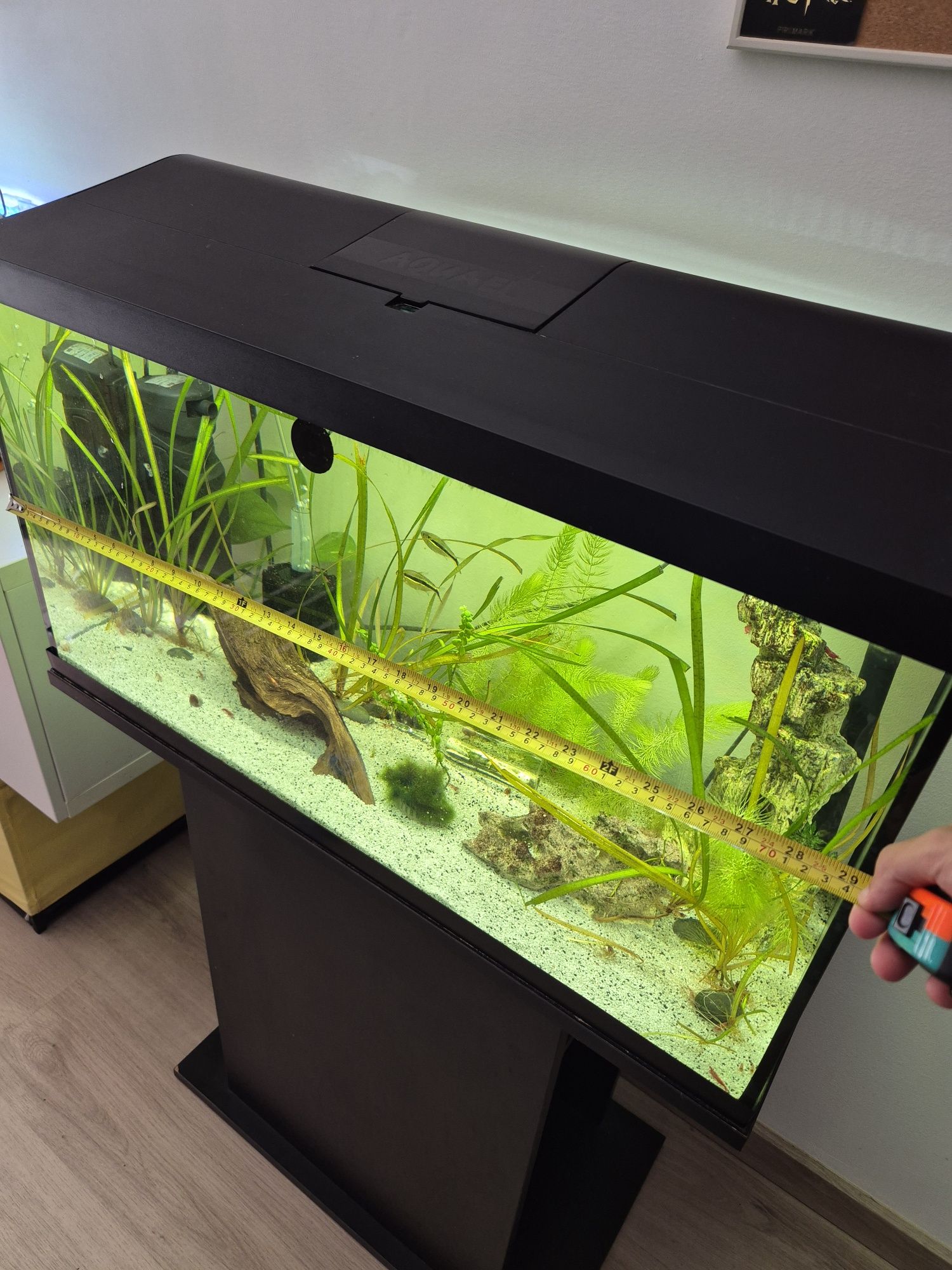 Aquário 100l com luz e termostato