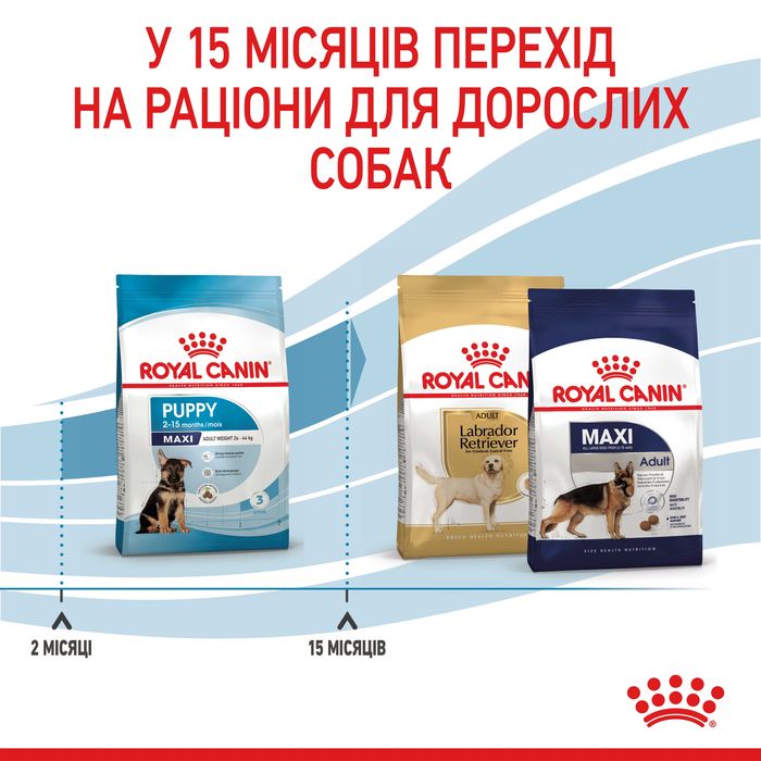 Корм Royal Canin Maxi Puppy 4 кг для цуценят великих порід. Роял Канін