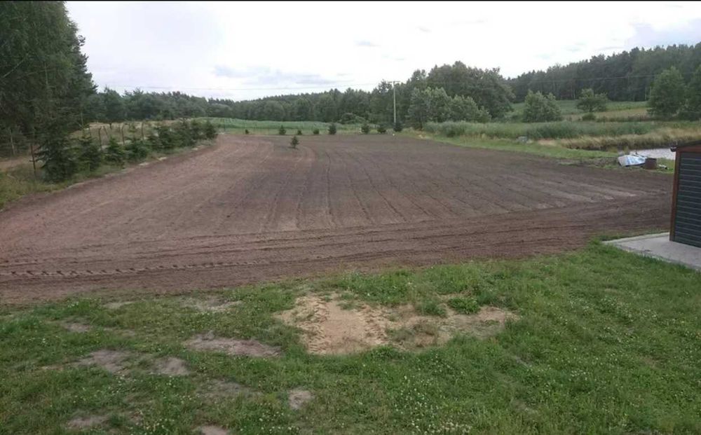 Glebogryzarka separacyjna, sianie trawy, wertykulacja, aeracja rurkowa