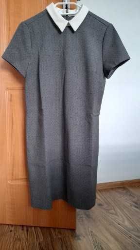 sukienka damska z kołnierzykiem