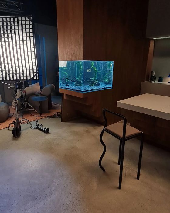 Zakładanie/serwis akwarystyczny