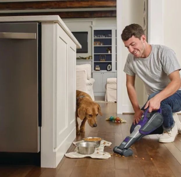 Aspirador de mão Black & Decker