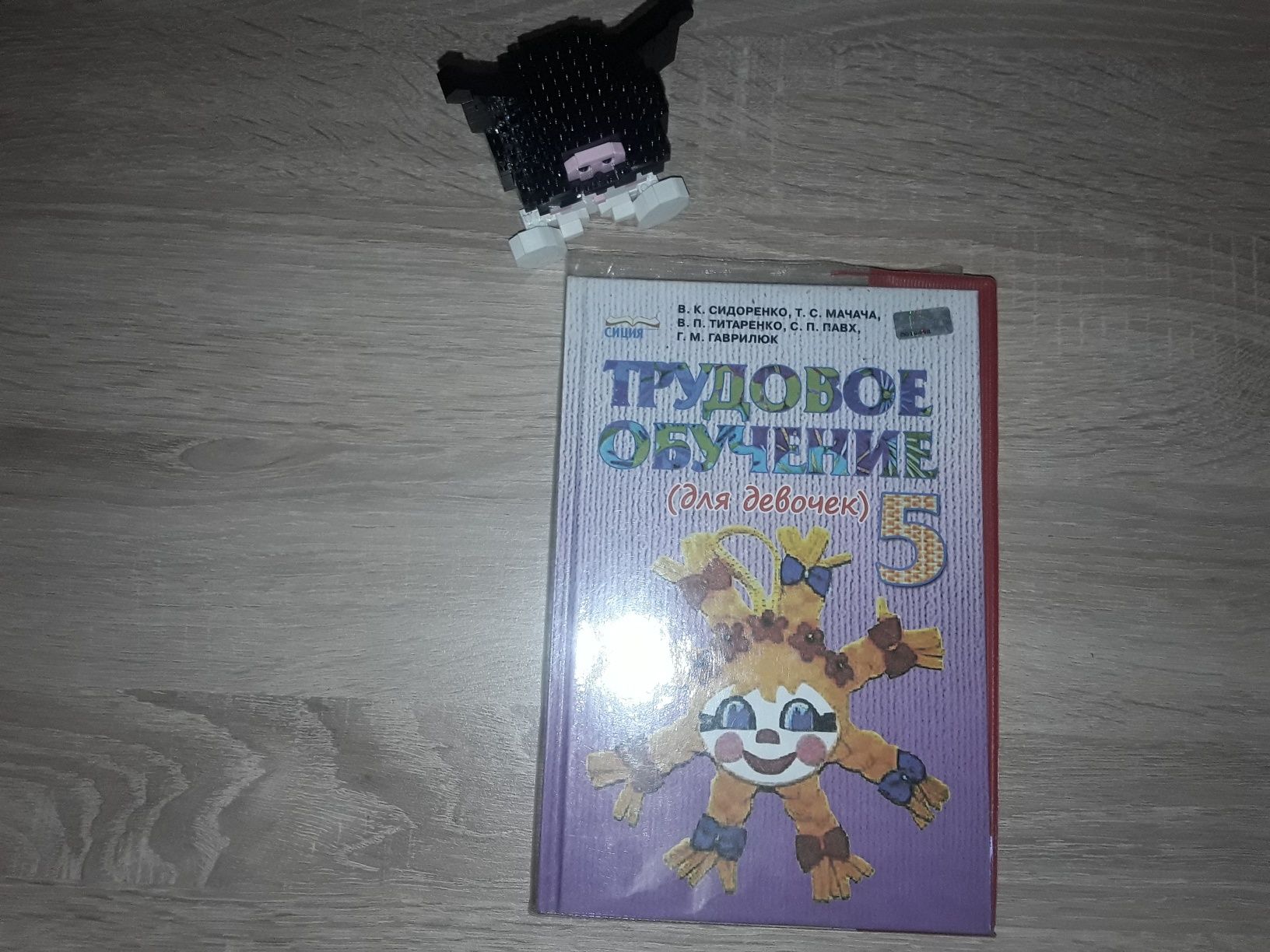 Учебник Трудовое обучение( для девочек) 5 клас