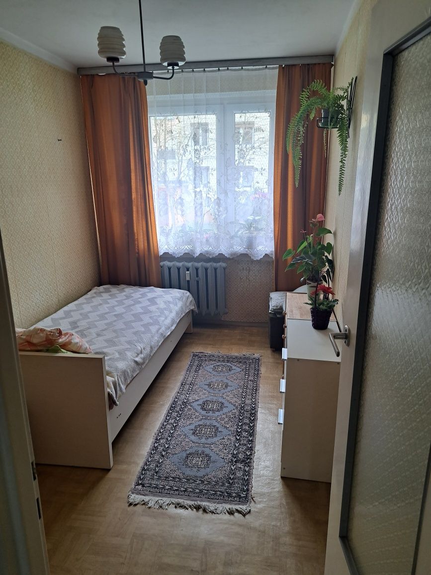 Mieszkanie na parterze