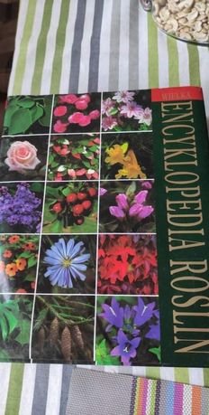 Encyklopedia roślin