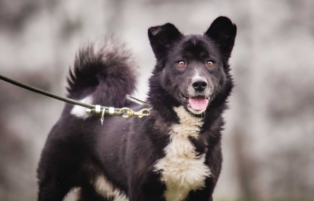 Wulkan energii i radości – Haribo czeka właśnie na Ciebie!