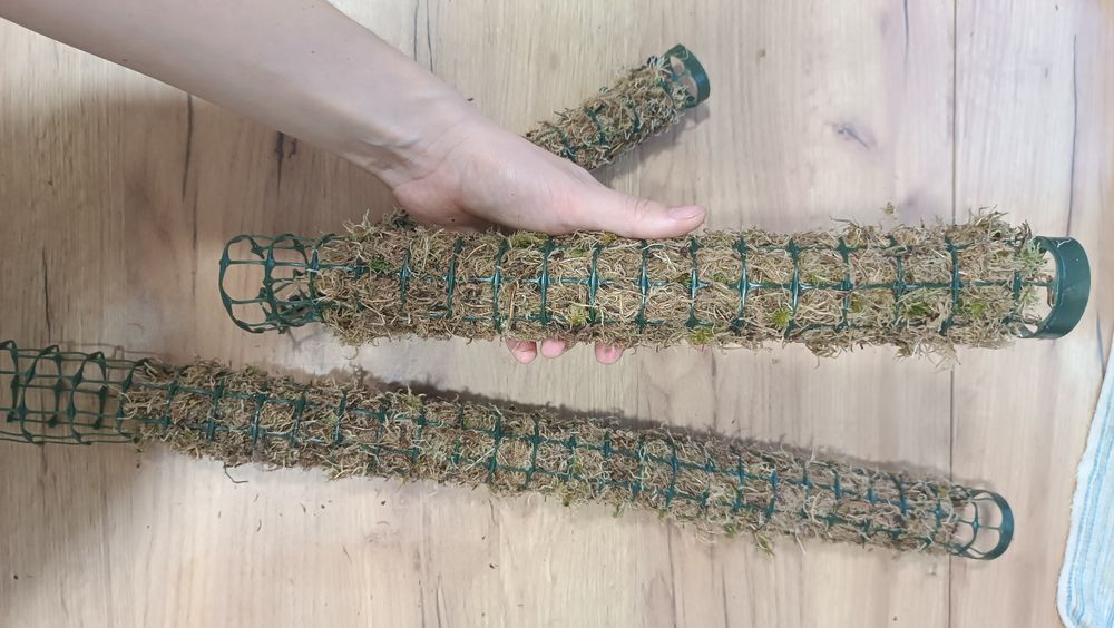 Моховий тотем для кімнатних рослин