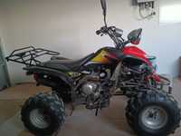 Quad 200cc ATV Bashan