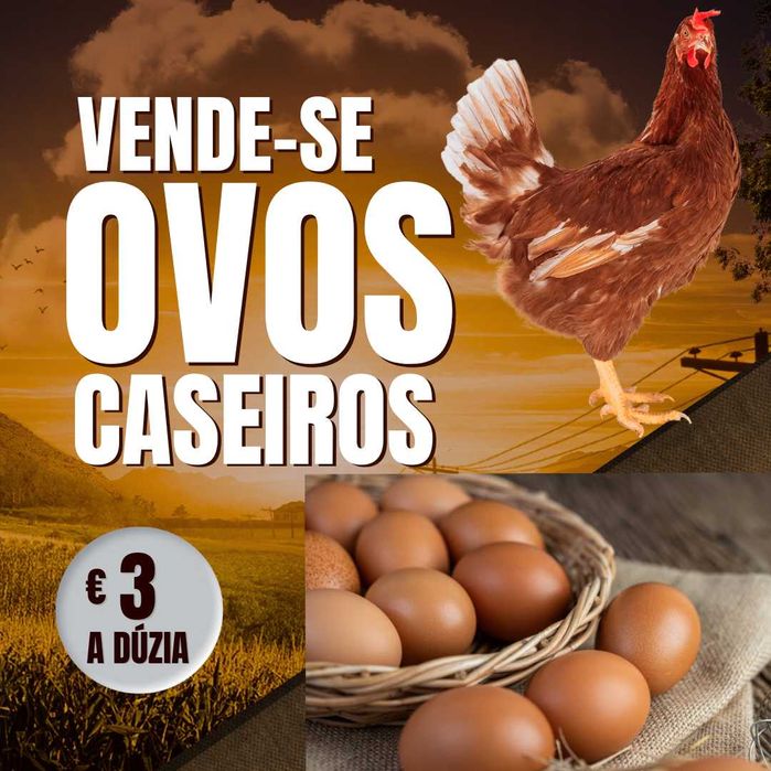 Ovos caseiros de qualidade
