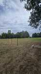 Działka rekreacyjna 1000 m² – natura, kąpieliska-70km od Warszawy