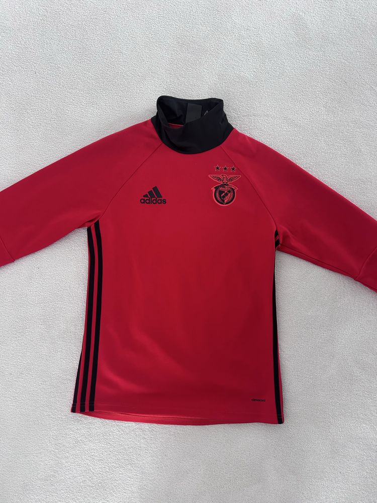Sweat Benfica / SLB