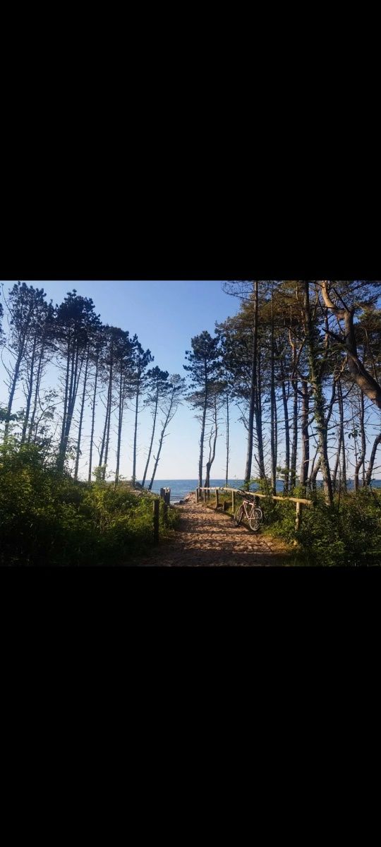Klimatyczny domek nad morzem
