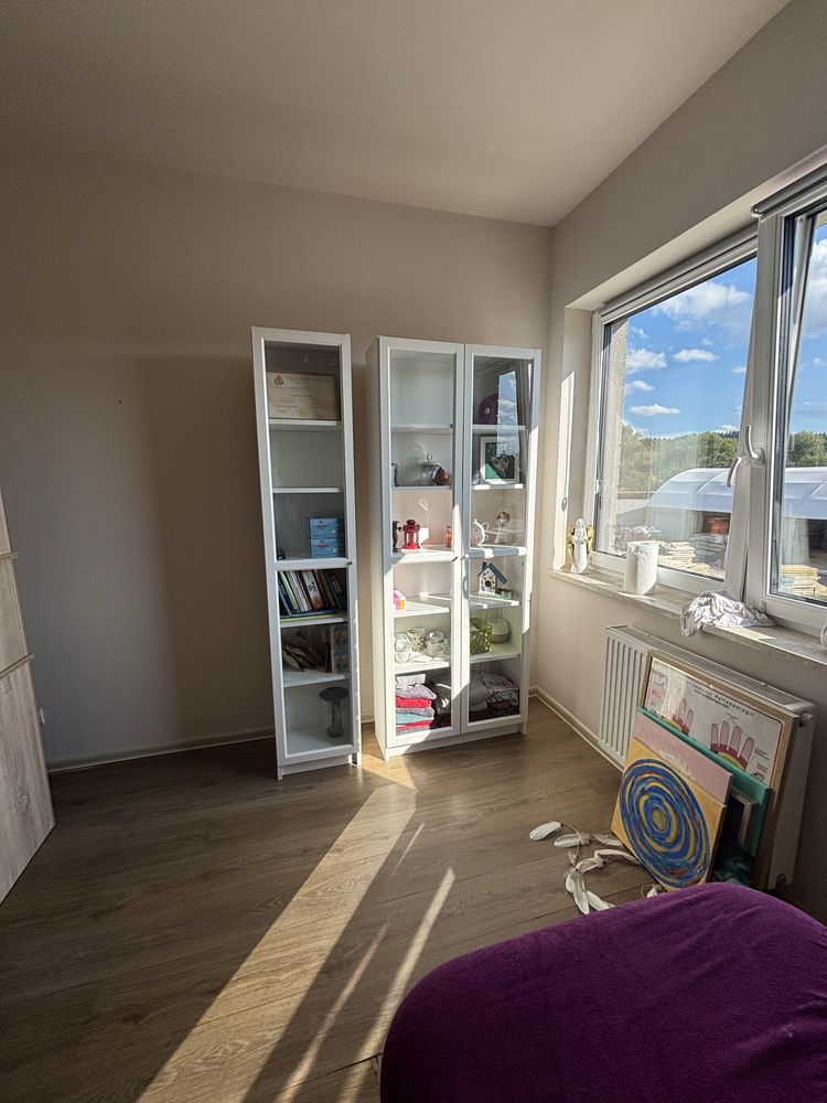 Szafka/biblioteczka/witryna/Ikea