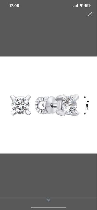 Серебряные Пусеты