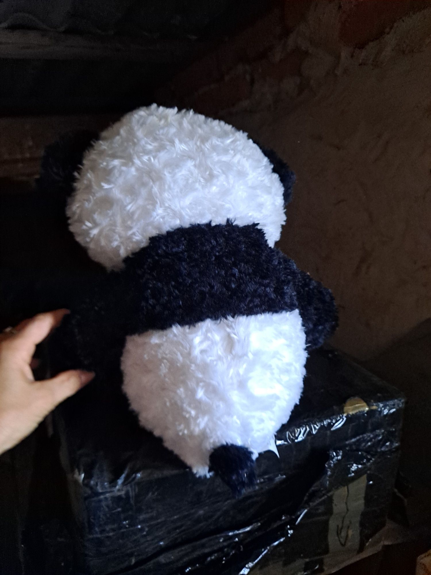 Panda interaktywna