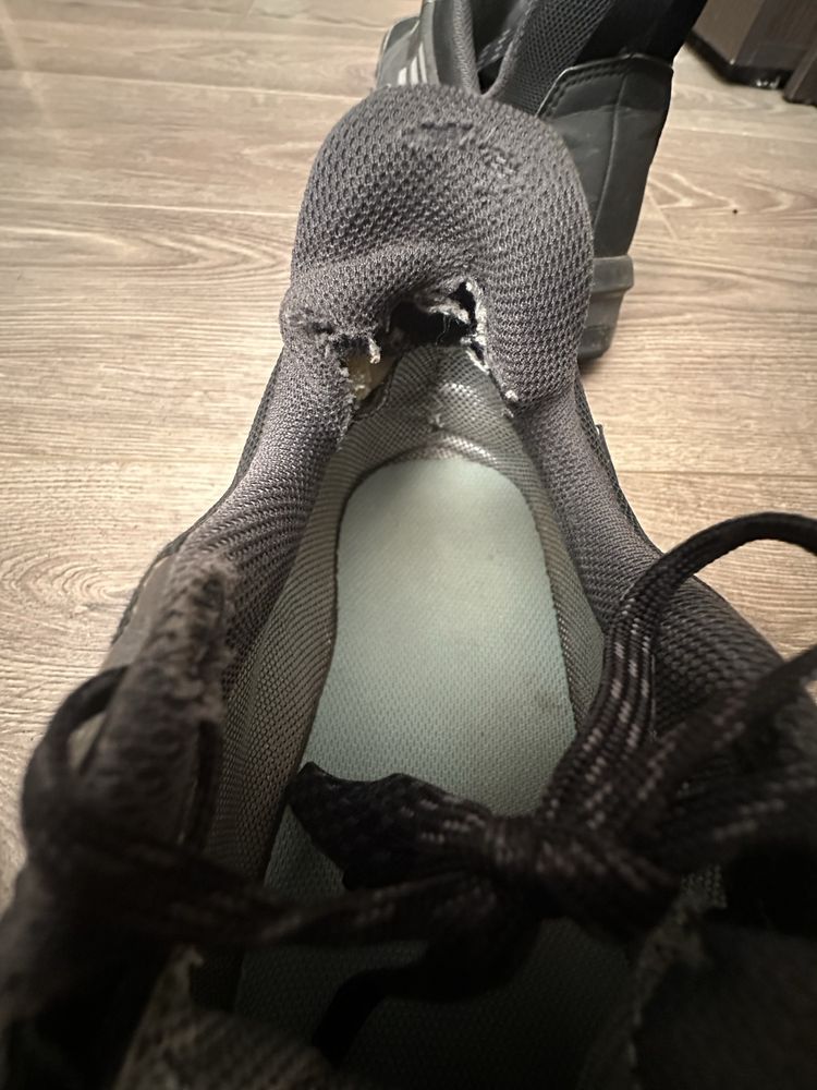 Кросівки Adidas Terrex