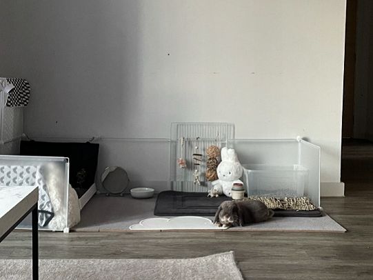 Kojec Wybieg dla Królika i Innych Zwierząt Biały Metalowy