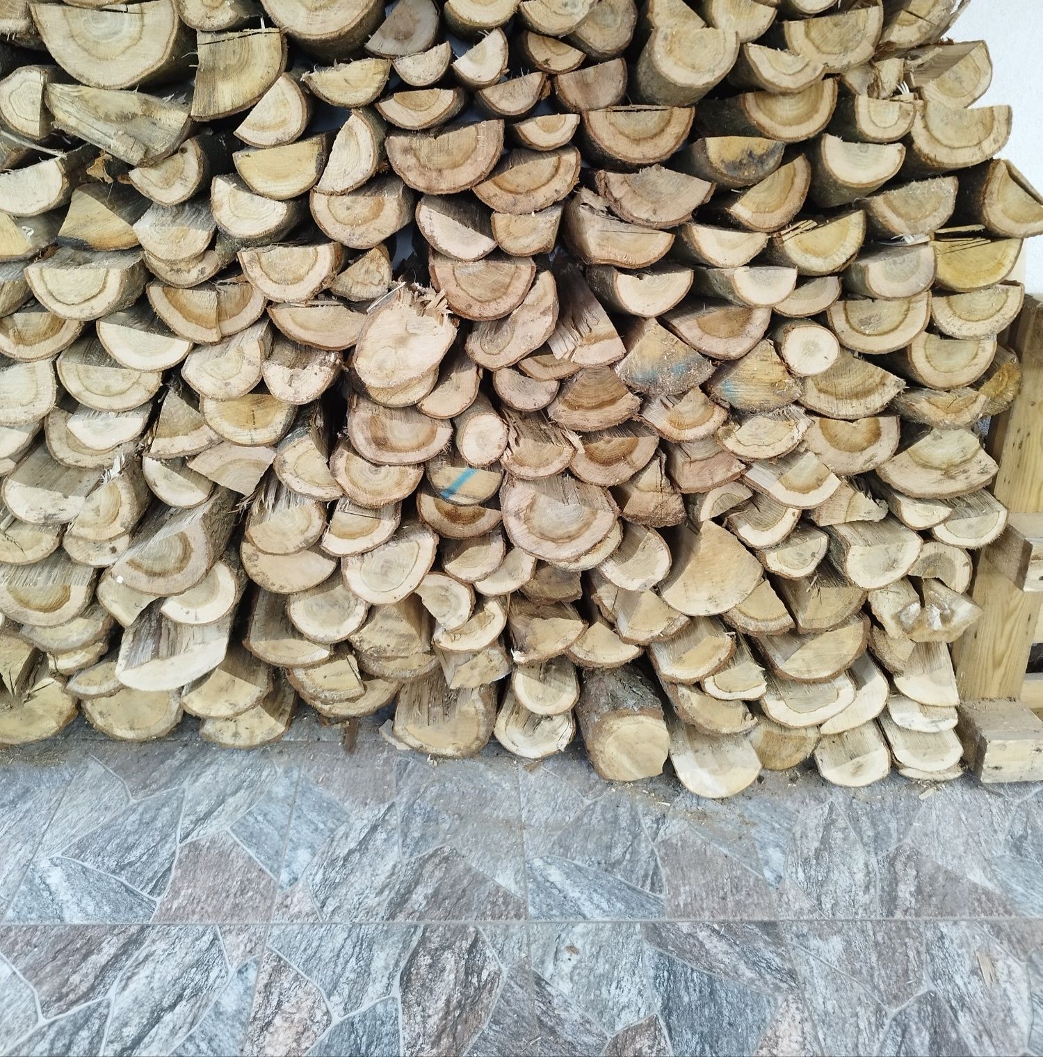 Drewno opałowe Dąb