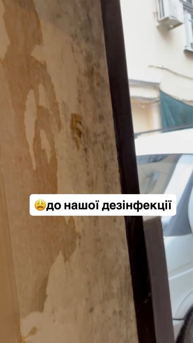 ‼️Удаление плесени - устранение грибка с гарантией на 3 года! Под ключ