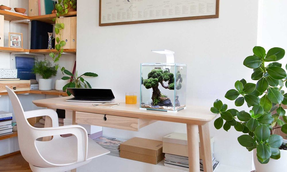 Aquael Shrimp SET SMART D&N 10 CZARNY