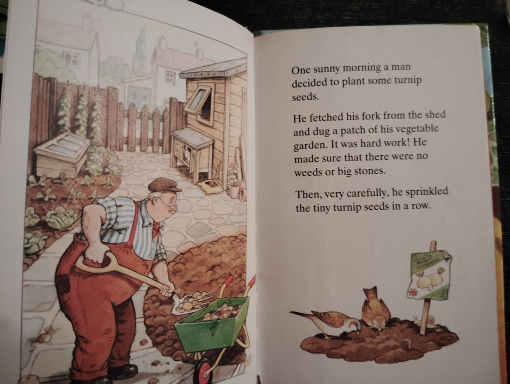 Livros Infantis Escritos em Língua Inglesa Usados