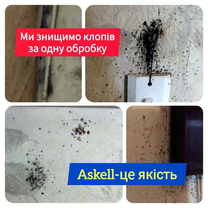 Уничтожить клопов в Харькове