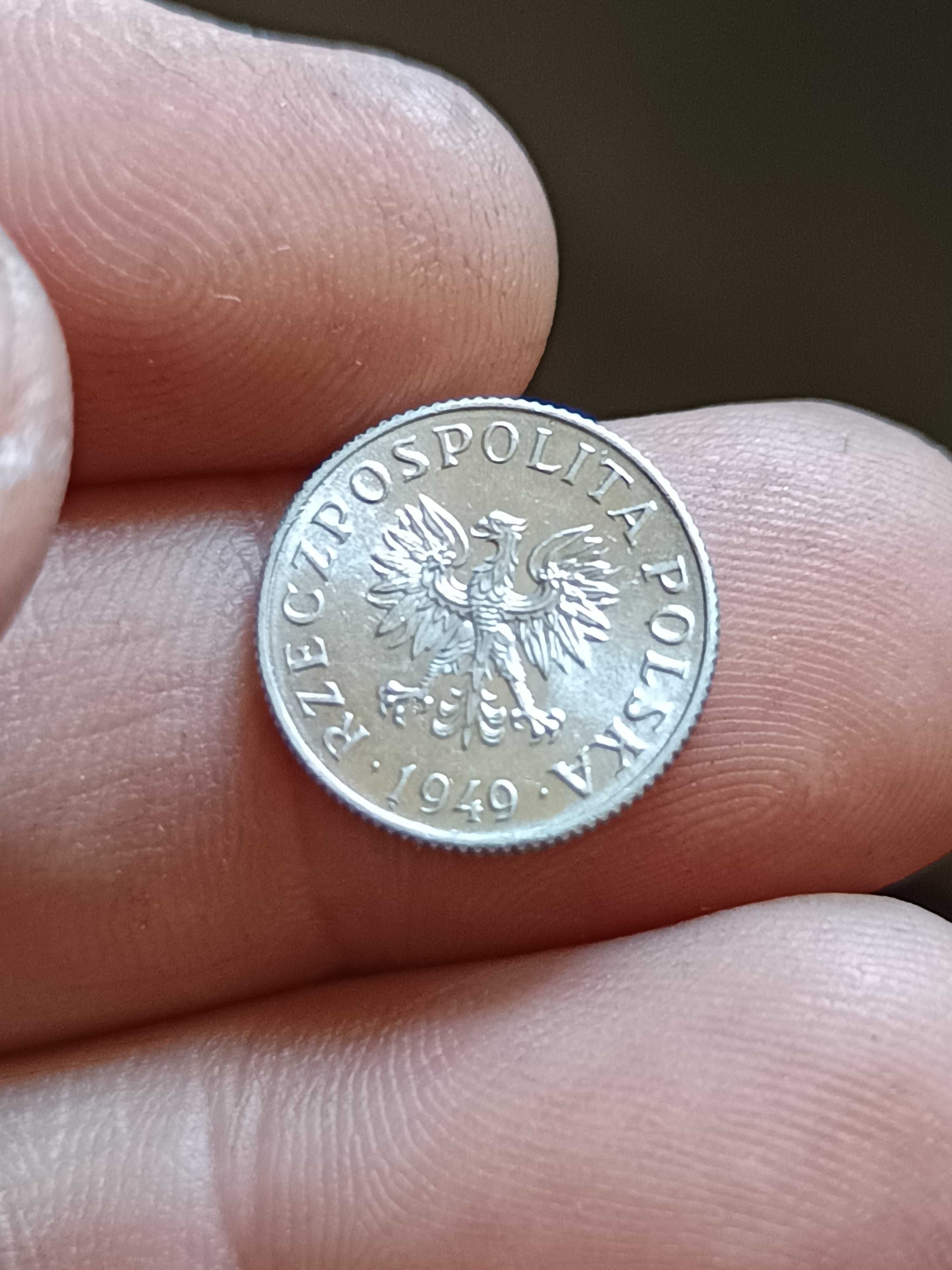 Sprzedam monetę 1 grosz 1949 rok