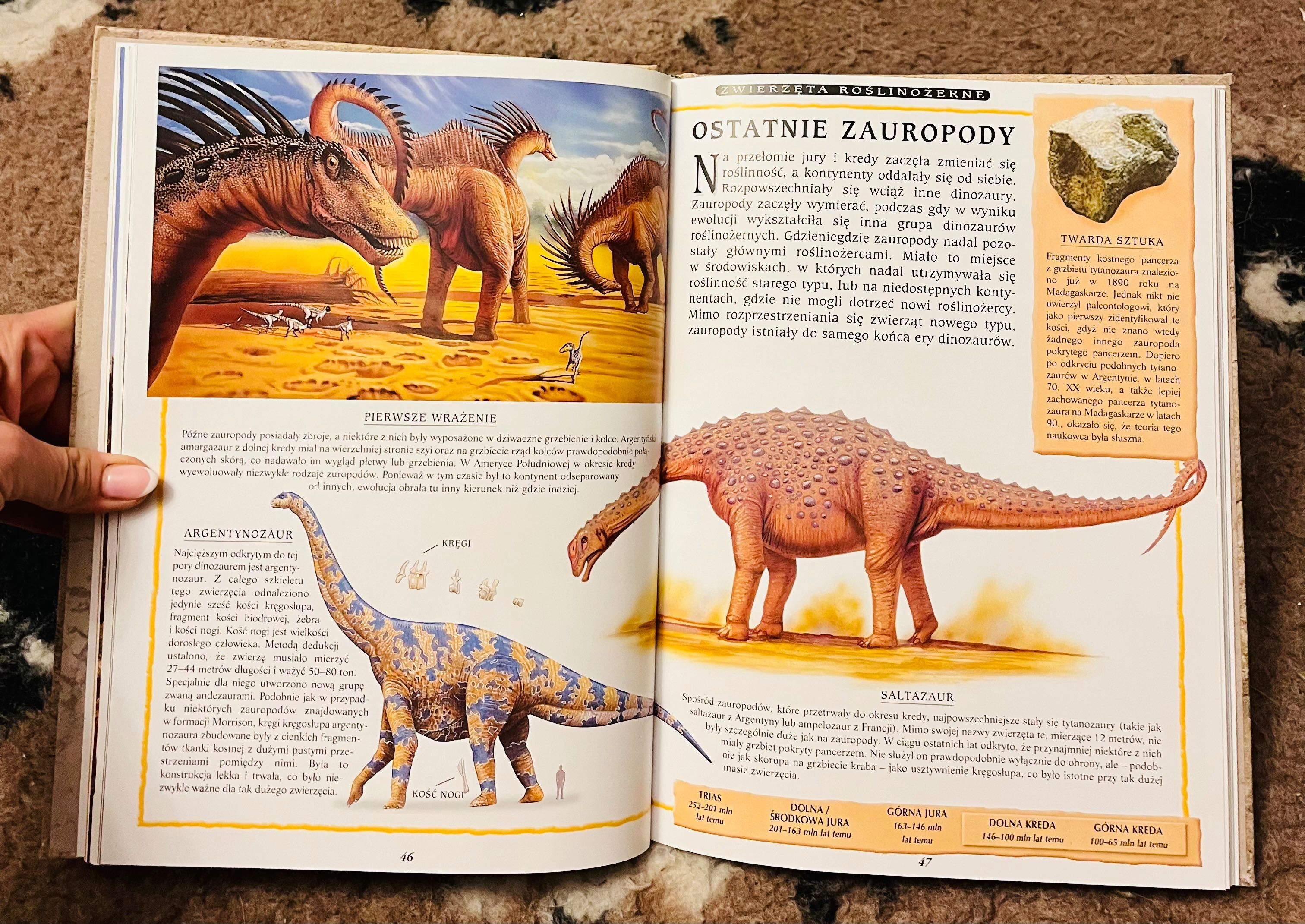 Encyklopedia dinozaurów