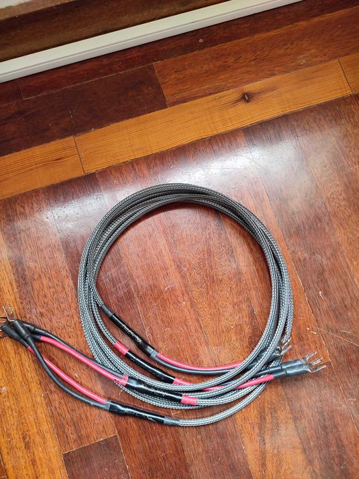 Cabos de coluna Audience AU24 SX