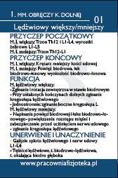 Kolokwium, wejściówka z układu mięśniowego? ANATOMIA FISZKI