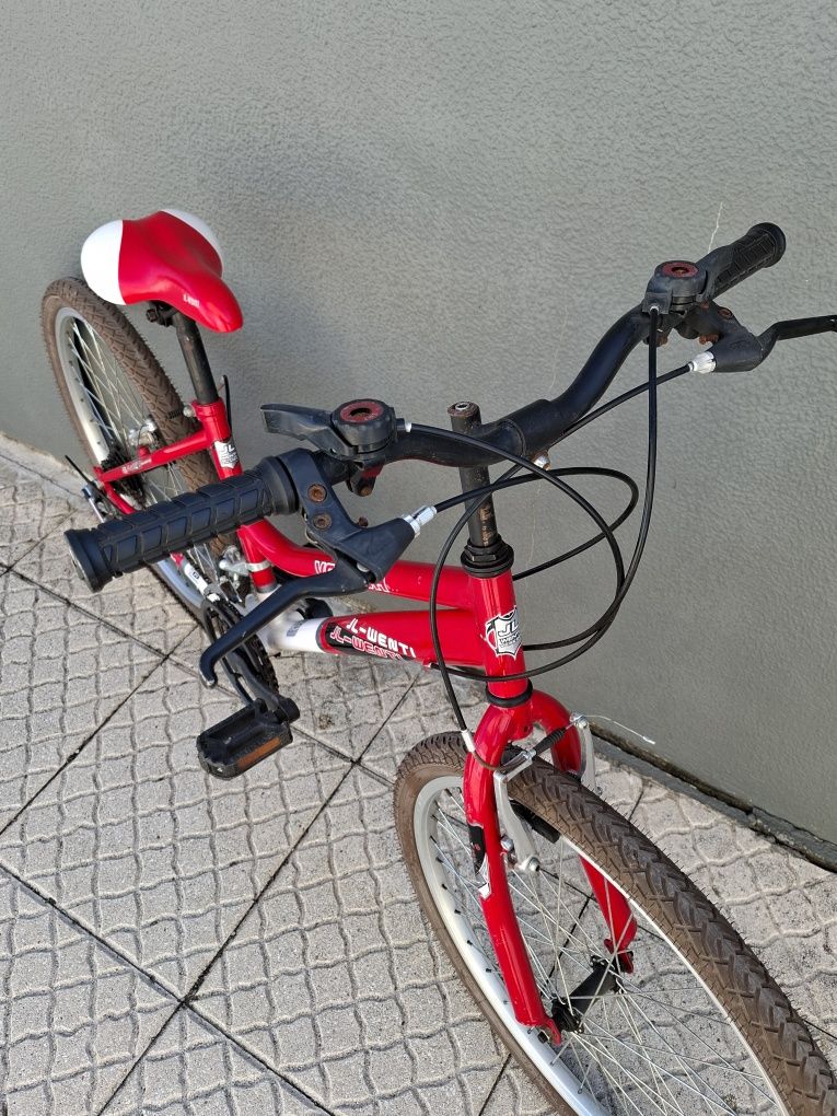 bicicleta JL-WENTI