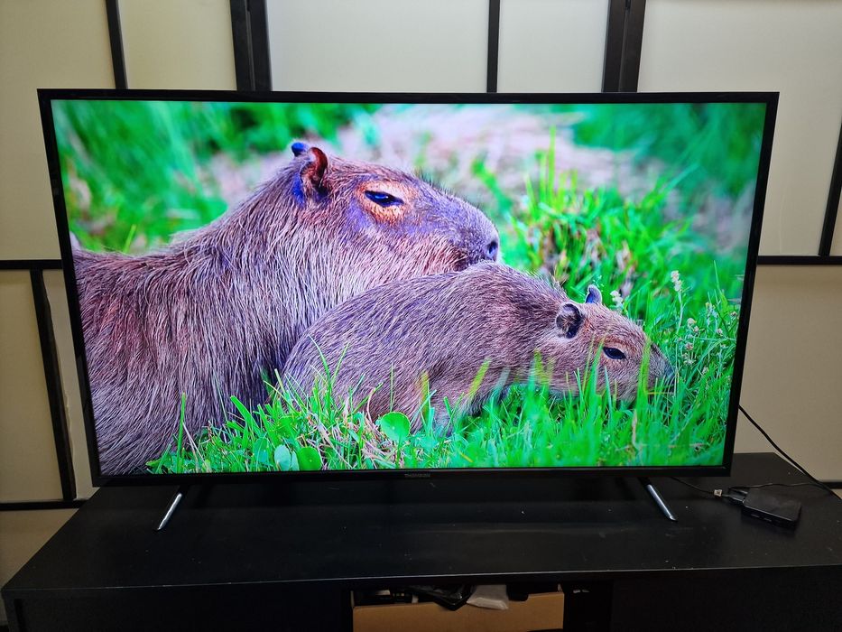 Telewizor 55cali 4K UHD DVB-T2 SMART TV