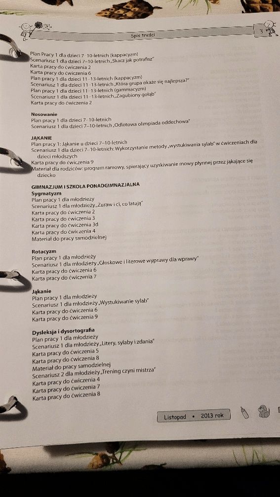 Teczka pracy logopedy + materiały multimedialne na pendrive