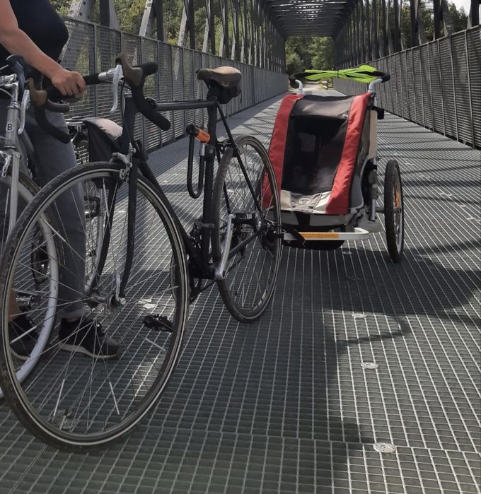 Chariot Tule Cougar 1