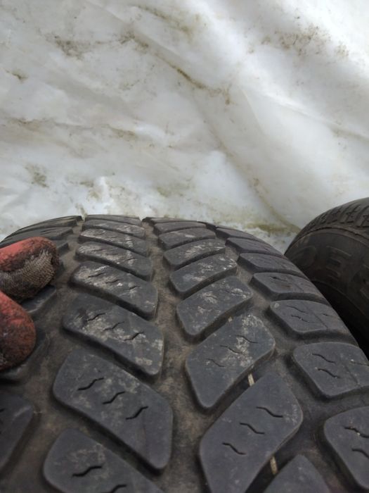 Opony Dębica 195/65/15