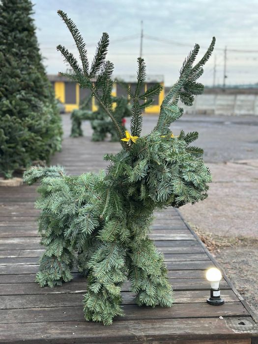 Ялинки плетені карпатські