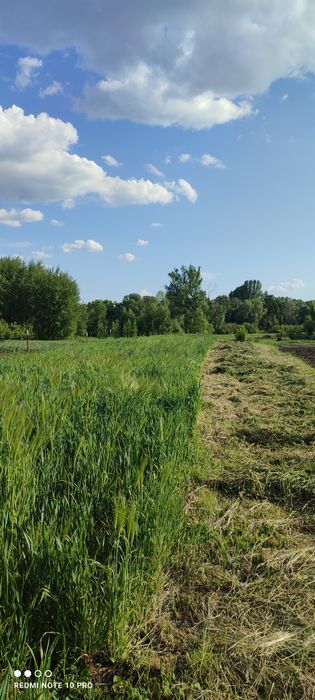 Продам будинок в селі Макарівка