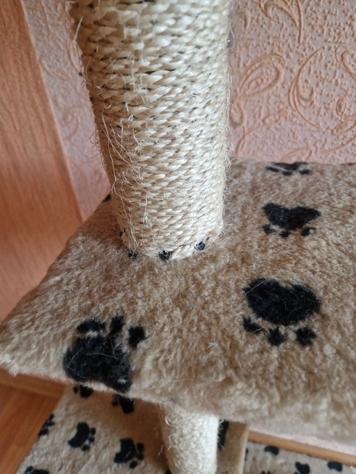 Продам когтеточку для кота