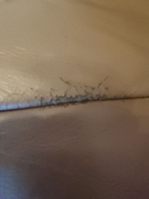 Komplet wypoczynkowy ANDREA