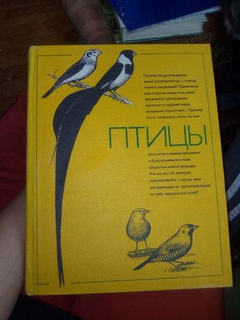 Книга " Птицы" , автор Уэлти