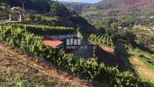 Venda Terreno, Santa Marinha do Zêzere, Baião