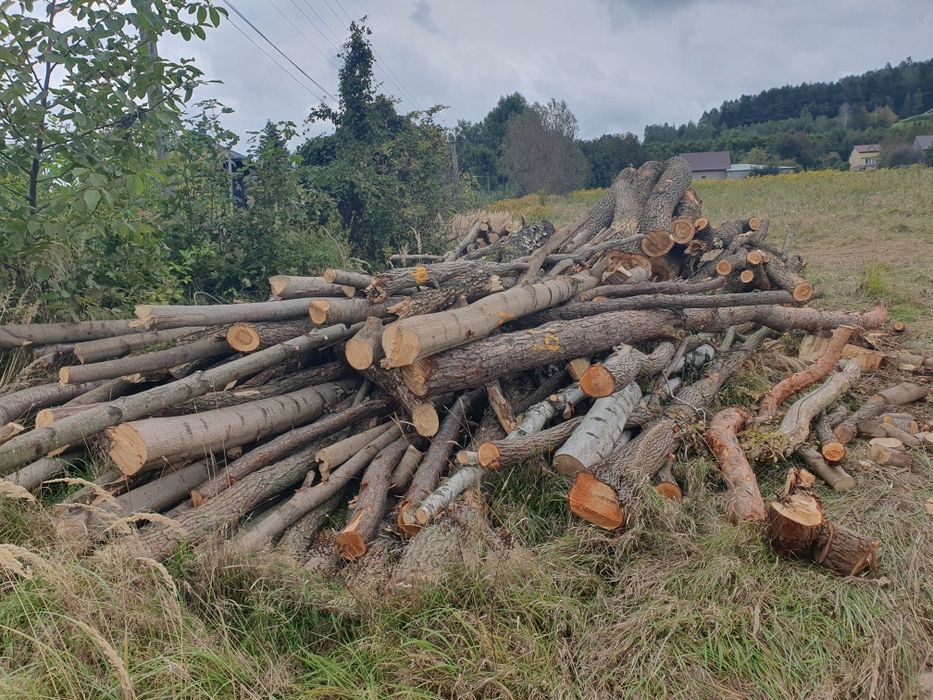 Na sprzedaż drewno opałowe.