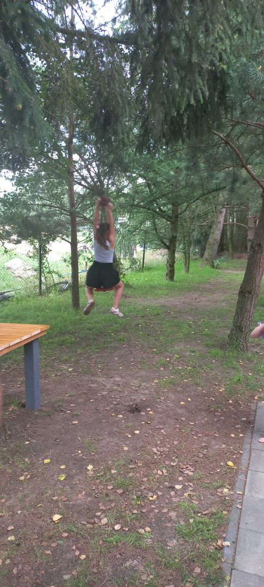 Domki na wynajem Mazury nad jeziorem Roś na ogrodzonej działce
