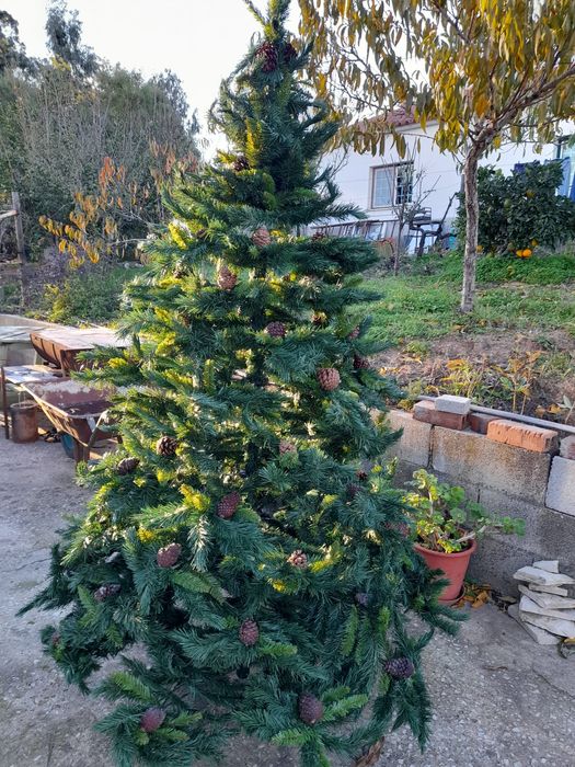 Árvore de Natal em bom estado