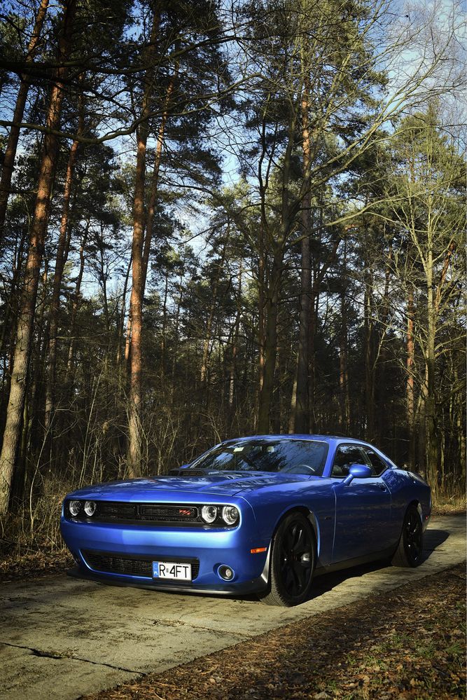 Samochód do ślubu dodge challenger 5.7 HEMI wynajem