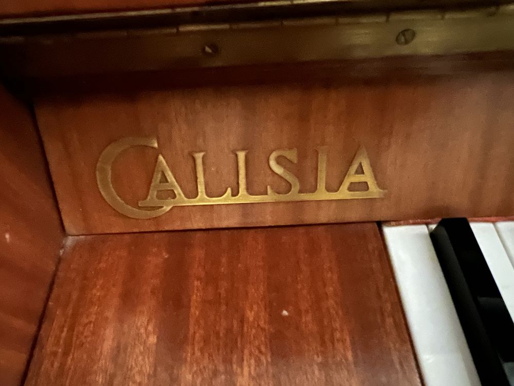 Pianino Calisia bardzo dobry stan